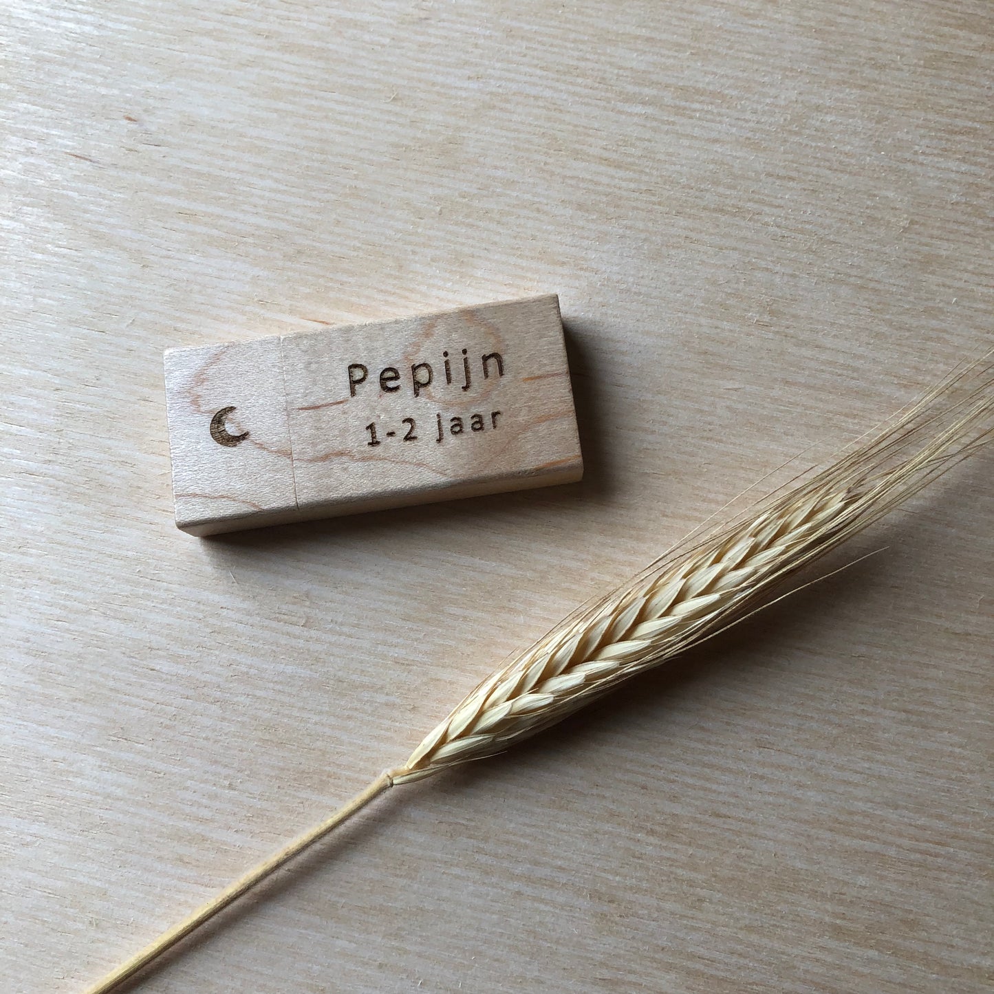 Opbergen | USB maan
